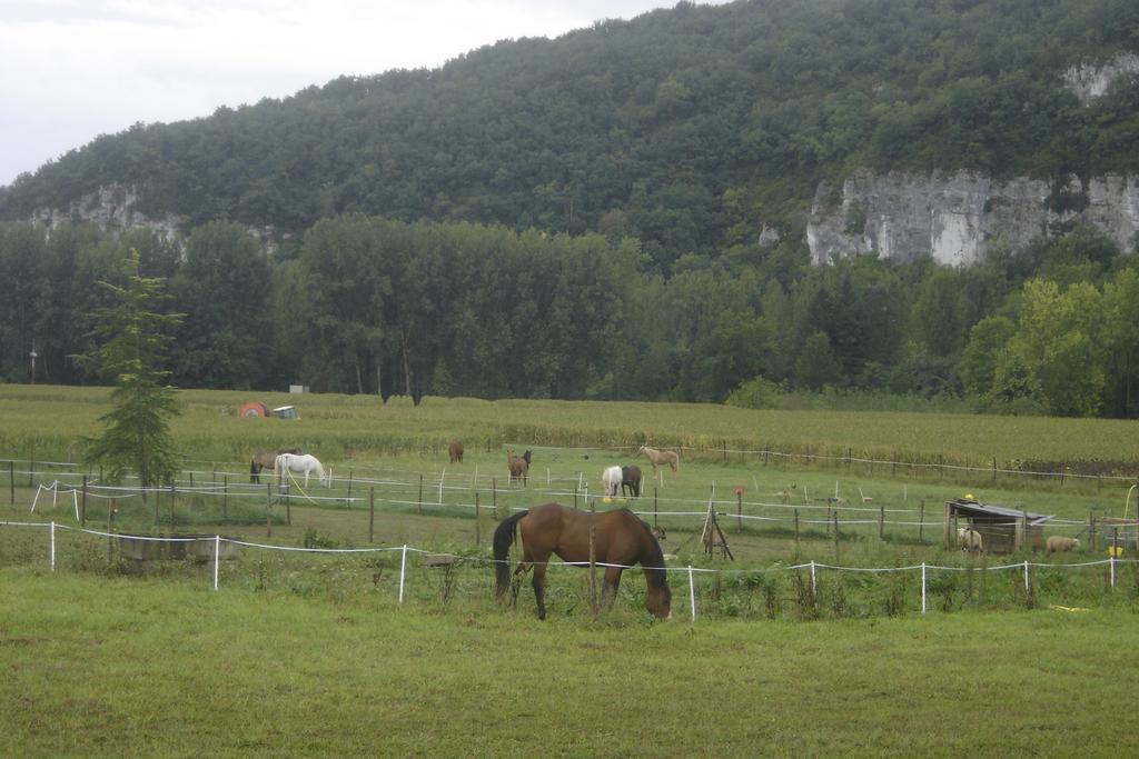 Paysannerie Des Versanes - Chambres Et Gite Tour-de-Faure ภายนอก รูปภาพ